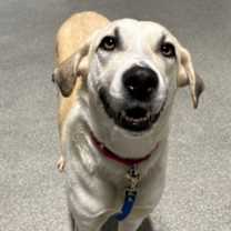 Thumbnail photo of Judy the Elf #2