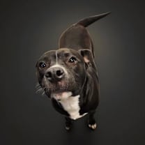 Thumbnail photo of Mercedes #1