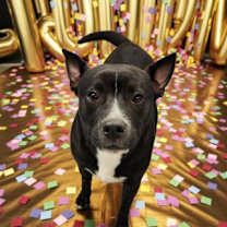 Thumbnail photo of Mercedes #2