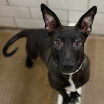 Thumbnail photo of JD #1