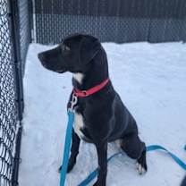 Thumbnail photo of Ellie #2