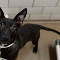 Thumbnail photo of JD #2