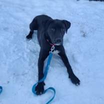 Thumbnail photo of Ellie #3