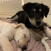 Thumbnail photo of Jam - Kitchener #1