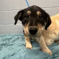 Thumbnail photo of Jam - Kitchener #2