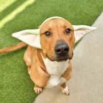 Thumbnail photo of Russ #1