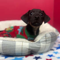 Thumbnail photo of Fergus #2