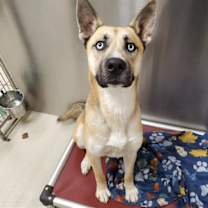 Thumbnail photo of GALACTUS #1