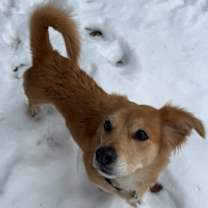 Thumbnail photo of Harper #1