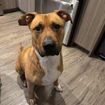 Thumbnail photo of Russ #3