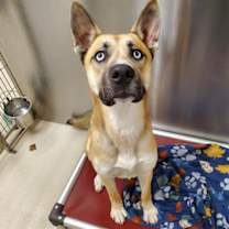 Thumbnail photo of GALACTUS #2