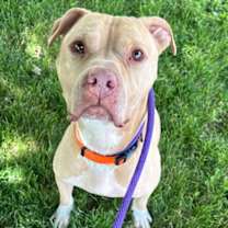 Thumbnail photo of Zane #2