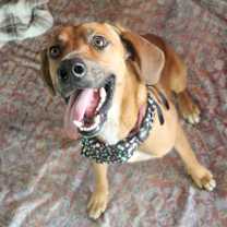 Thumbnail photo of Book Worm #1