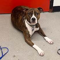 Thumbnail photo of Stella #2