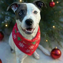 Thumbnail photo of Tucker #1