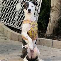 Thumbnail photo of Tucker #2