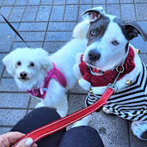 Thumbnail photo of Tucker #3