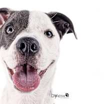 Thumbnail photo of Tucker #4