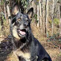 Thumbnail photo of Cassian #4