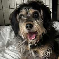 Thumbnail photo of Kelli #2