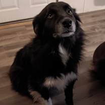 Thumbnail photo of Willy #1