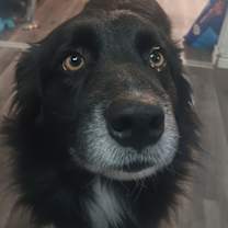 Thumbnail photo of Willy #2