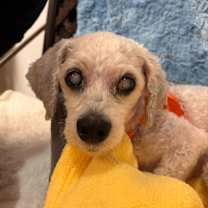 Thumbnail photo of Spencer 13647 #2