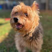 Thumbnail photo of Ms. Bella #1