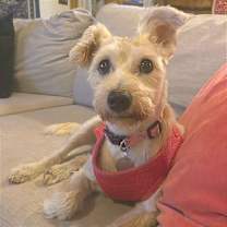 Thumbnail photo of Nancy Wheeler #2