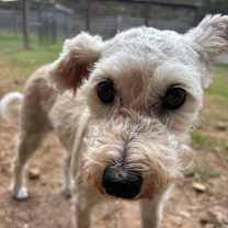 Thumbnail photo of Nancy Wheeler #3