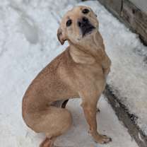 Thumbnail photo of Bella #1