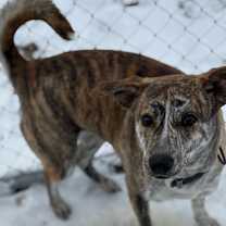 Thumbnail photo of Louise #1