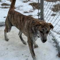 Thumbnail photo of Louise #2