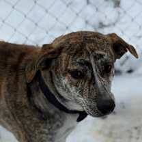 Thumbnail photo of Louise #3