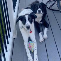 Thumbnail photo of Paul #4