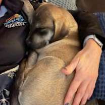 Thumbnail photo of Holland #2