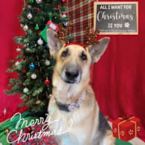 Thumbnail photo of Freya #1