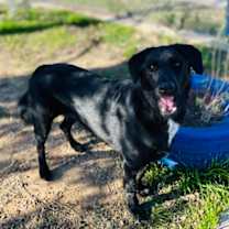 Thumbnail photo of Rin #3