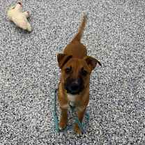 Thumbnail photo of Dana #1