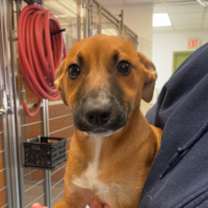 Thumbnail photo of Dana #2