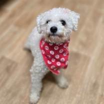 Thumbnail photo of Mellie #2