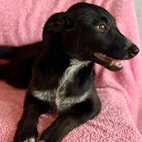 Thumbnail photo of Naomi #2