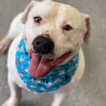 Thumbnail photo of Frosty #1