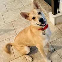 Thumbnail photo of Maxx #1