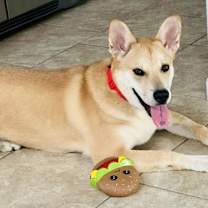 Thumbnail photo of Maxx #2