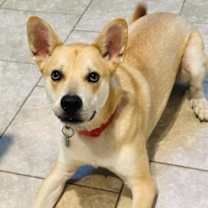 Thumbnail photo of Maxx #3