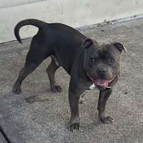 Thumbnail photo of Spooky #3