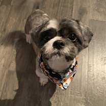 Thumbnail photo of Jaxson #2