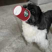 Thumbnail photo of Jaxson #3