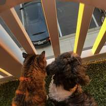 Thumbnail photo of Jaxson #4